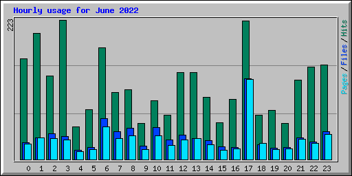 Hourly usage for June 2022