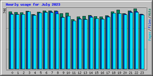 Hourly usage for July 2023