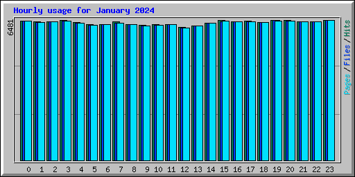 Hourly usage for January 2024