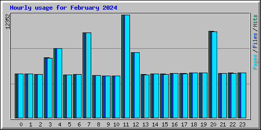 Hourly usage for February 2024